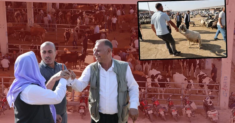 Bayram öncesi kurbanlık pazarları hareketlendi: İşte ortalama fiyatlar