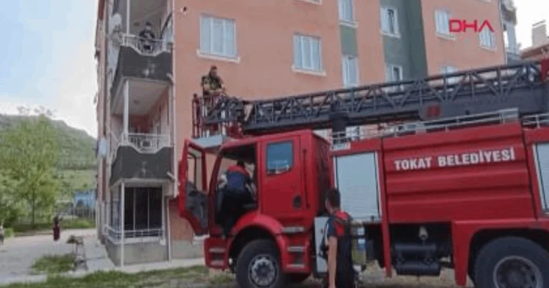 Çatıdaki fareleri kaçırmak için bütün apartmanı zehirledi Sözcü Gazetesi