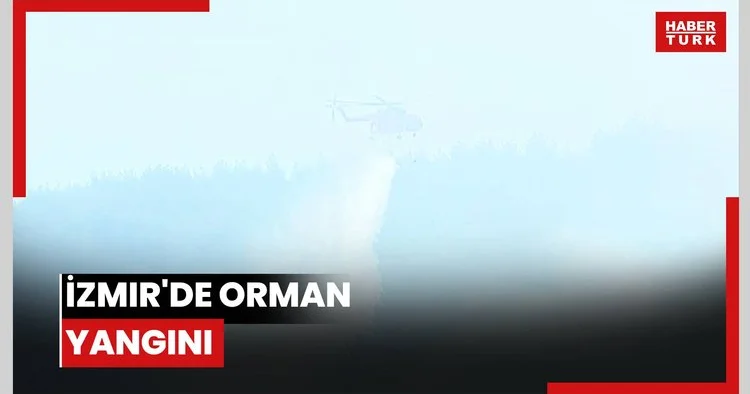 İzmir de orman yangını
