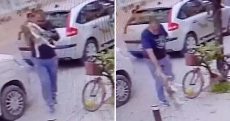 Köpeğe Şiddet Uygulayan Sanığa Ev Hapsi