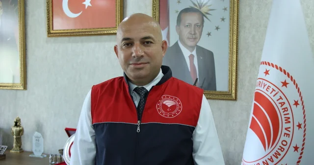 Trakya da son iki haftadaki yangınlarda 2 bin 750 dekar ekili alan zarar gördü Edirne Haberleri