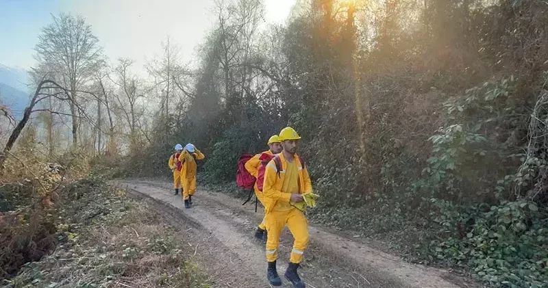 Kuraklığa bağlı orman yangınlarında artış tehlikesi