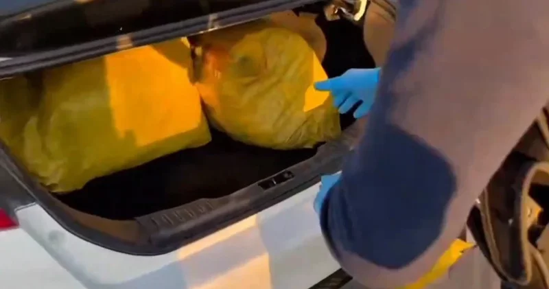 Şanlıurfa da 35 kilogram skunk ele geçirildi: 1 gözaltı