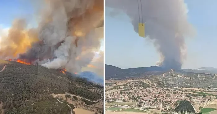 İzmir Foça da orman yangını! Kilometrelerce öteden görülüyor