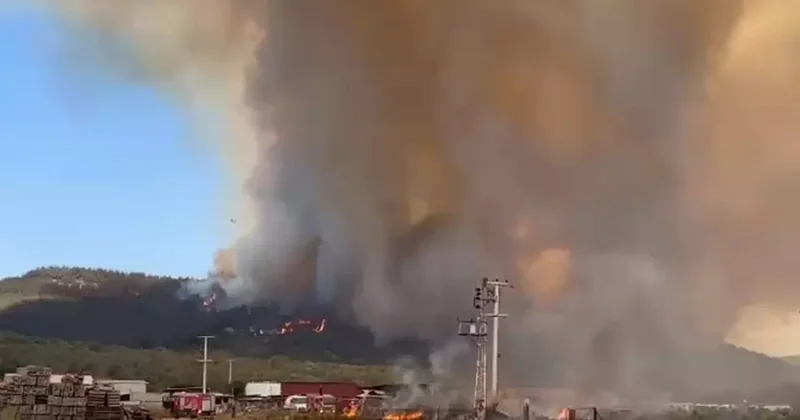 İzmir de Orman Yangını: Evler Tahliye Ediliyor