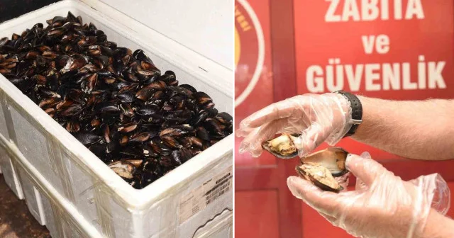 Kastamonu da 45 kilogram sağlıksız midye ele geçirildi Kastamonu Haberleri