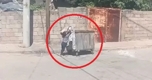 Çocuğun eski kilimi konteynere attığı anlar kamerada; ödüllendirilecek Mardin Haberleri