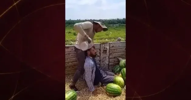 Karpuz tarlasında çalışan işçi aşırı sıcaklara dayanamadı!