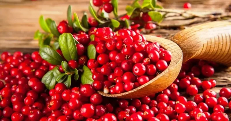 Kandaki CRP oranını düşürüyor, enfeksiyonu temizliyor! Vücuttan toksinleri atıyor