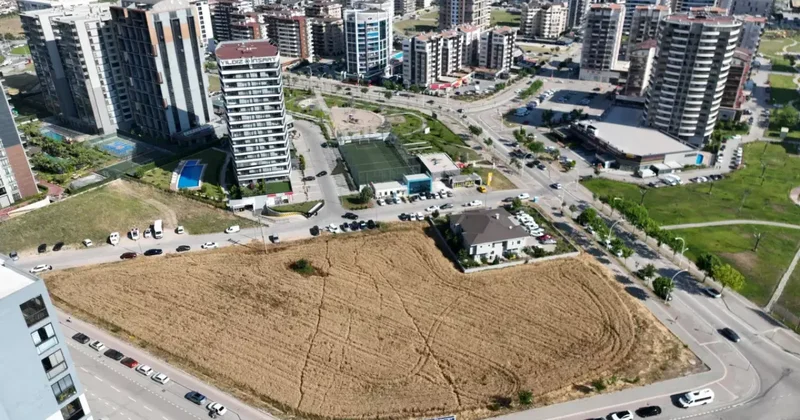 Milyon dolarlık gökdelenlerin yanında buğday tarlasında hasat
