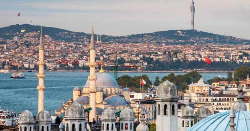 Üç ilçede her yerdeler! Uzmanlar İstanbul için uyardı: Sakın öldürmeyin