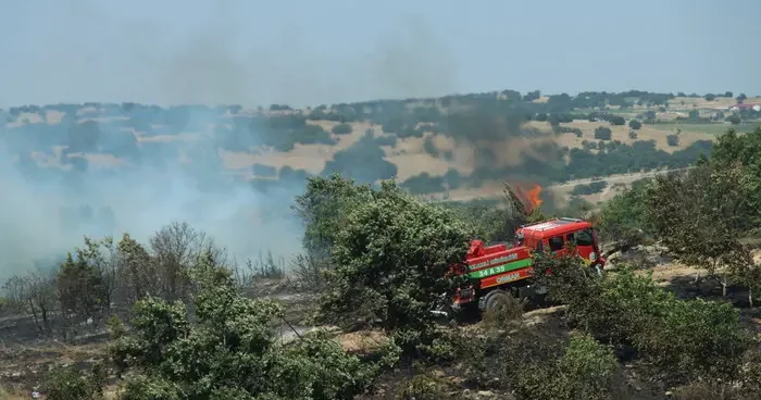 Kırklareli nde yangın! Ceviz bahçesinde çıktı, ağaçlık alana sıçradı