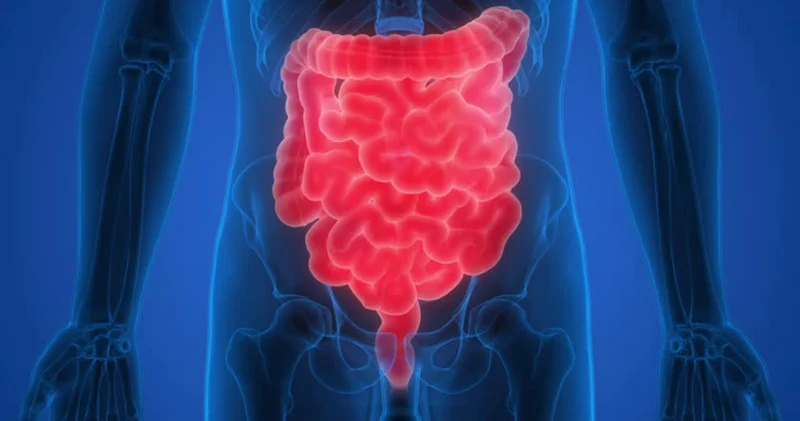 Uzmanı açıkladı: Yaz aylarında akut gastroenterit vakaları artıyor