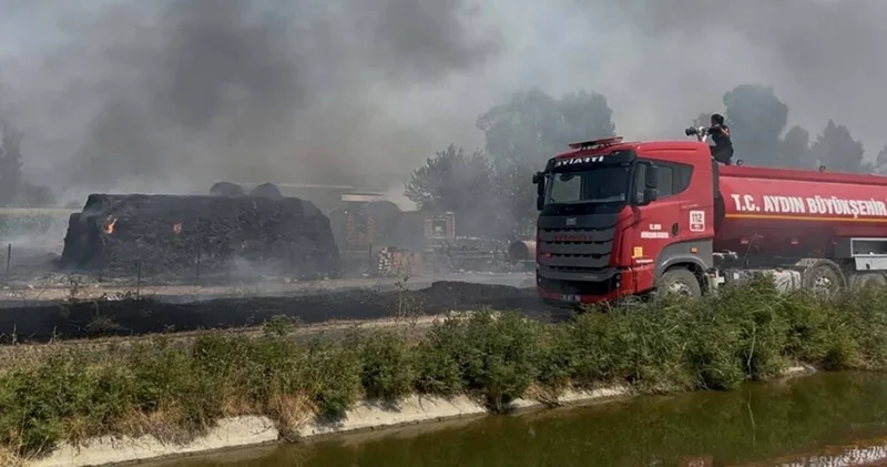 Aydın da hayvan çiftliğine sıçrayan yangın kontrol altına alındı