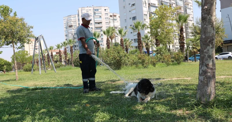Temizlik görevlisiyle 3 bacaklı Kola nın duygulandıran dostluğu