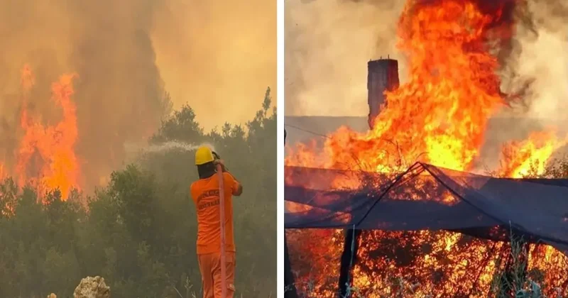 Antalya kabusu yaşıyor! Sıcaklık rekoru kırıldı, 6 noktada orman yangını çıktı