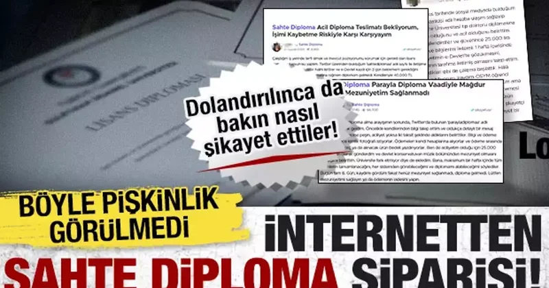Böyle pişkinlik görülmedi! Sahte diploma sipariş ettiler, gelmeyince şikayet ettiler!