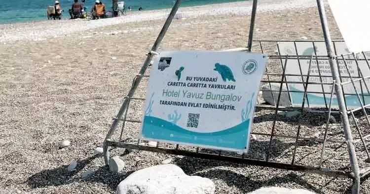 Caretta carettaları işletmeler sahiplendi