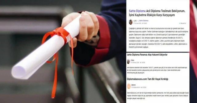 Sahte diploma sipariş edip gelmeyince şikayet ettiler: Pes dedirten pişkinlik Gündem Haberleri