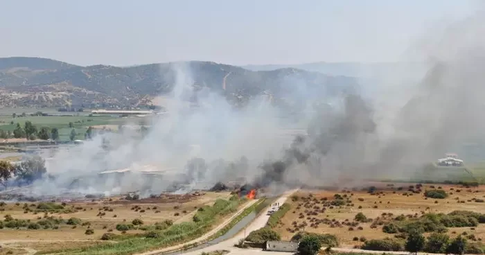 Rüzgarla büyüyen yangın, hayvan çiftliğini tehdit etti