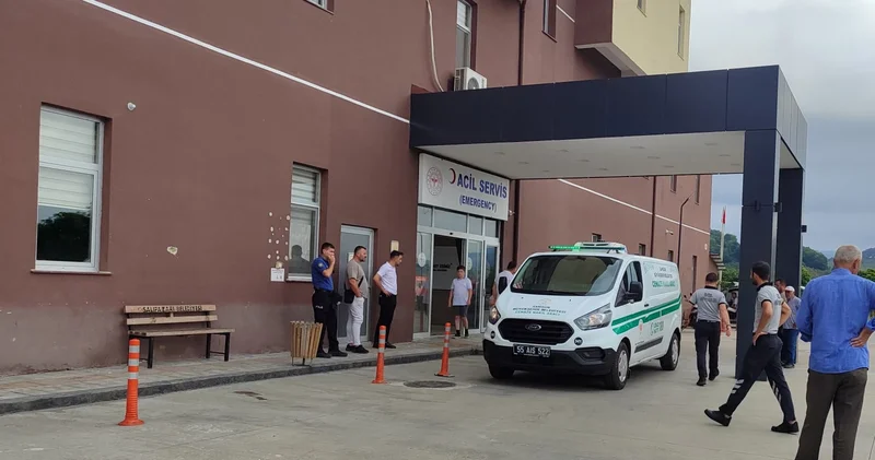 Tamir etmeye çalıştığı ot biçme makinesi üzerine düşen kişi öldü