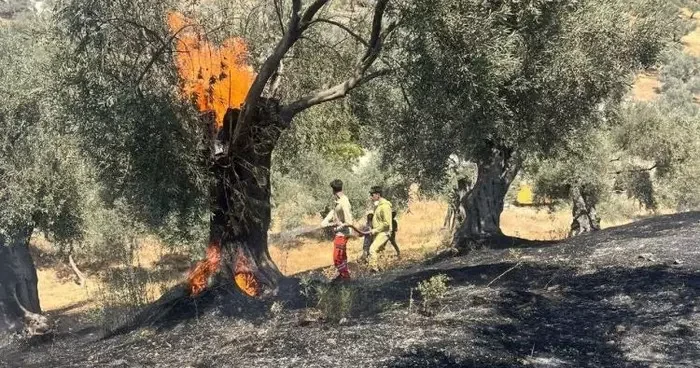 Aydın Büyükşehir İtfaiyesi 2 günde 55 yangına müdahale etti