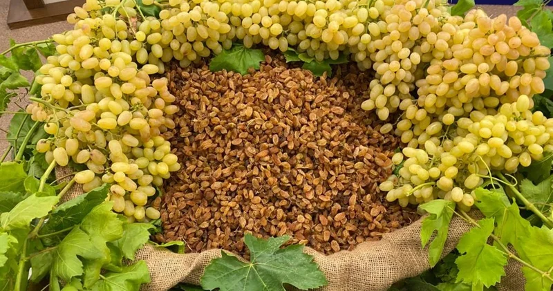 Türkiye de kuru üzüm rekoltesinin düşmesi Avrupa yı vurdu