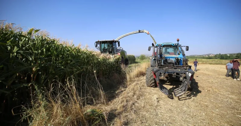 Çiftçilere yaklaşık 827 milyon lira destek ödemesi yapılacak