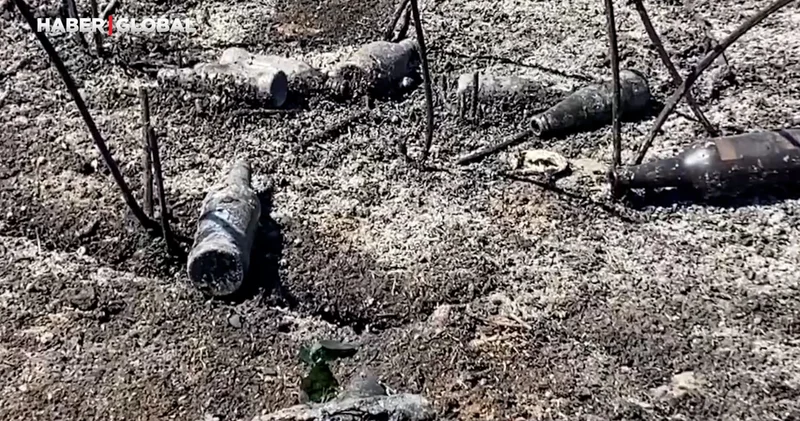 Yangının ardından utanç manzarası! Yüzlerce boş cam şişe bulundu