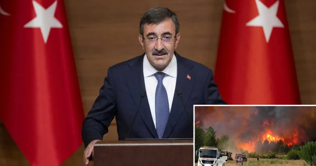 Cumhurbaşkanı Yardımcısı Yılmaz duyurdu: Yeşil Vatan için Risk Yönetim Ekibi oluşturuldu Politika Haberleri