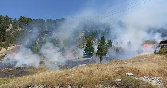 Tunceli’de çıkan yangın büyük ölçüde söndürüldü