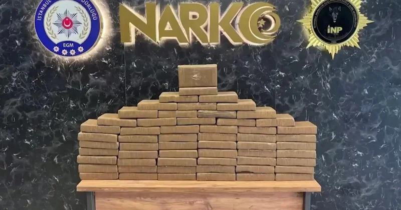 İstanbul da 60 kilogram kokain ele geçirildi