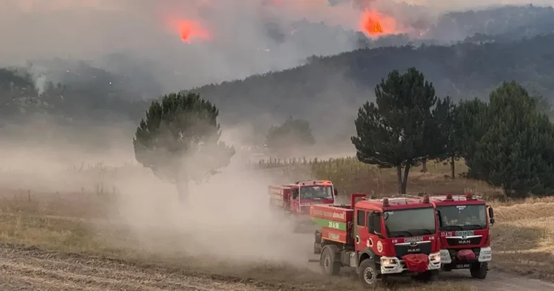 Orman yangınlarına müdahalede alev kırbacı tehlikesi