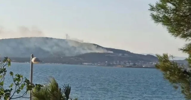 Cunda Adası nda orman yangını Balıkesir Haberleri