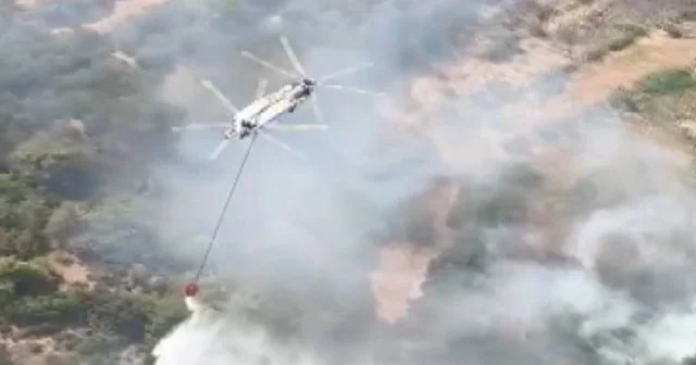 Muğla da tarım arazisinde çıkan yangına müdahale anları kamerada VİDEO İZLE