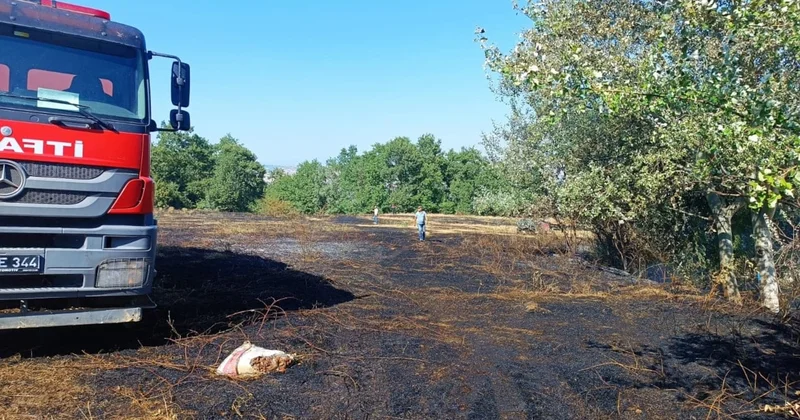 Bursa İnegöl de anızda çıkan yangın, ormana sıçradı Sözcü Gazetesi