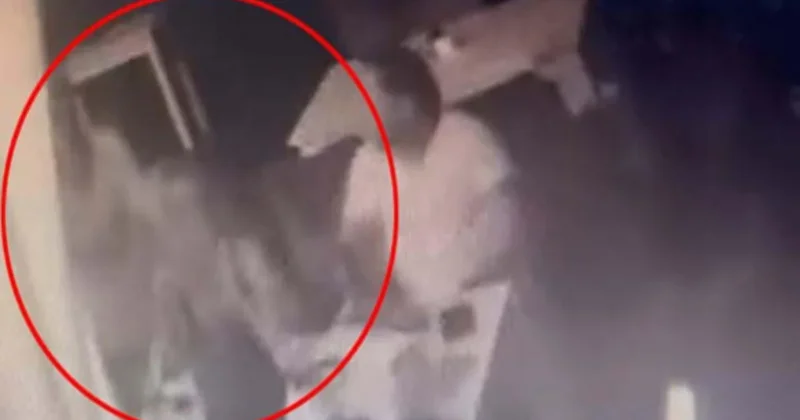 Bodrum da eğlence mekanında kadına şiddet! Sözcü Gazetesi