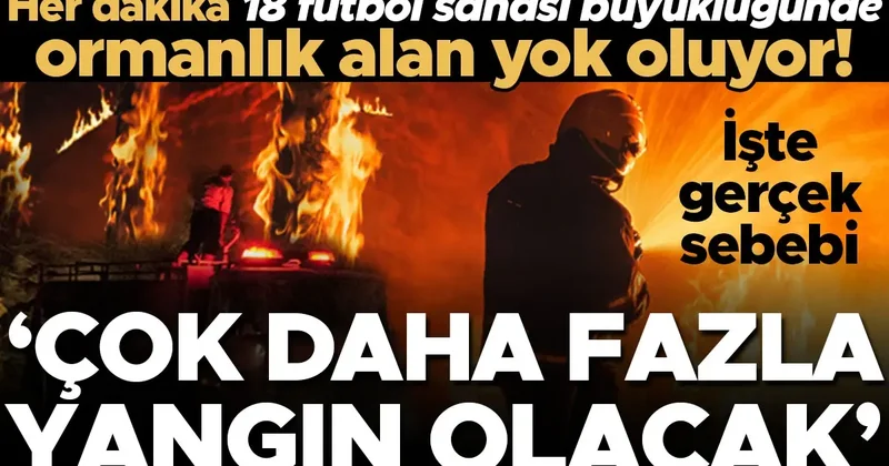 Son iki yılda 78 milyon dönümden fazla orman yandı, her dakika 18 futbol sahası büyüklüğünde ormanlık alan yok oluyor! Tüm bunların sebebi ne? ‘Çok daha...