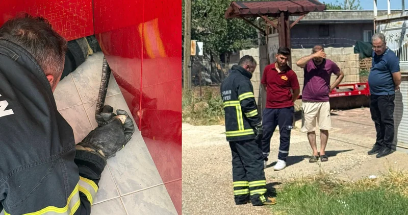 Adıyaman da evin mutfağına giren yılanı itfaiye ekibi yakaladı