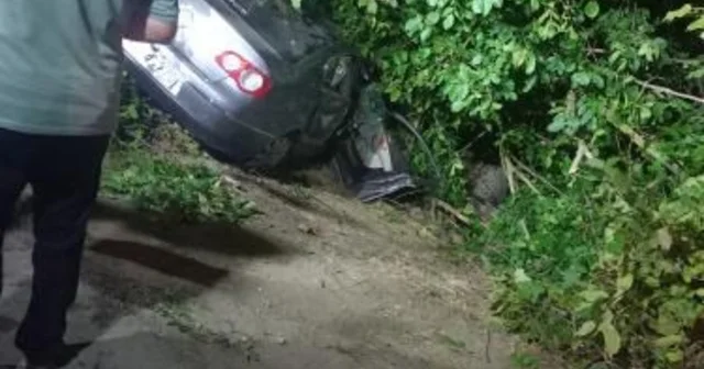 Otomobil ağaçlık alana devrildi: 3 yaralı Sakarya Haberleri