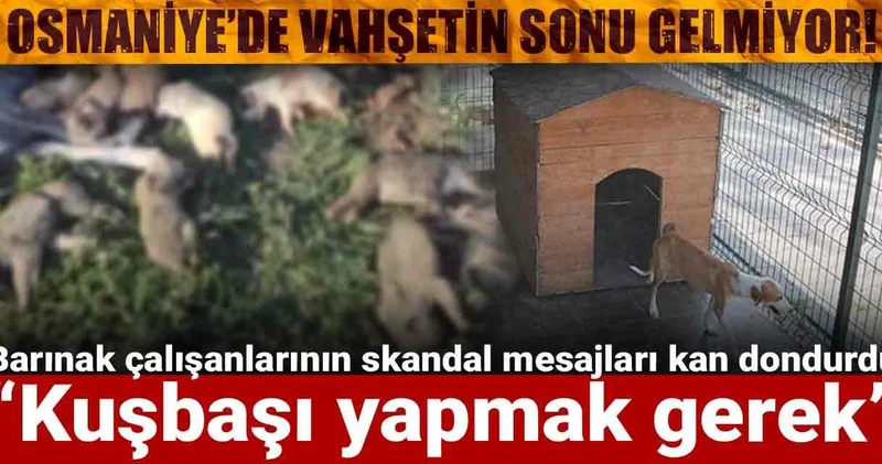 Osmaniye’de vahşetin sonu gelmiyor! Barınak çalışanlarının skandal mesajları kan dondurdu