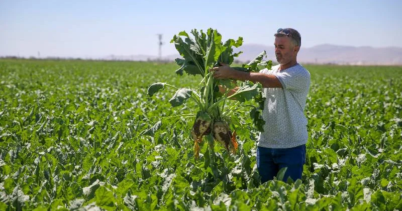 470 bin çiftçiye kasıma kadar 46,5 milyar liralık ödeme yapılacak
