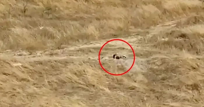 Tekirdağ da güpegündüz boş alanda uygunsuz görüntüler! Mahalleliden tepki yağıyor