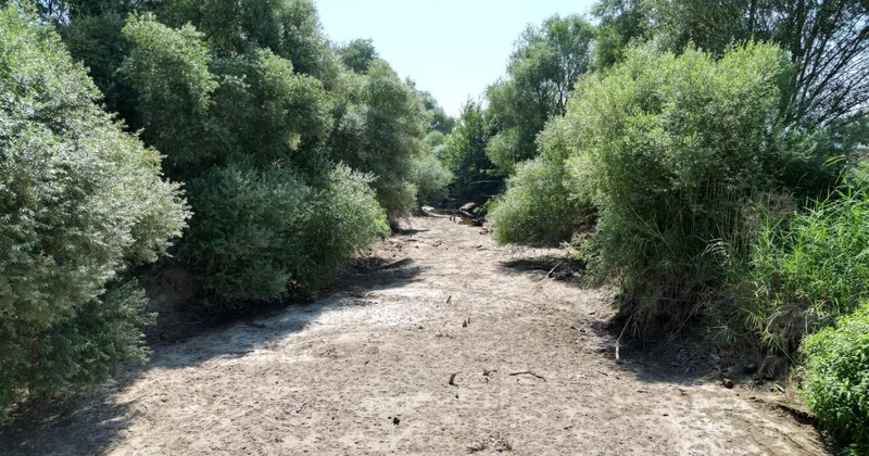 Kuraklığın etkisiyle Gediz Nehri nin bazı bölümleri kurudu