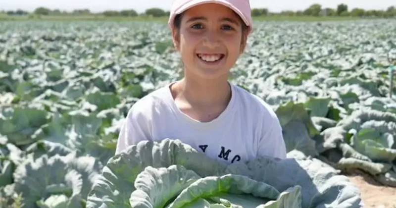 Kilosu 10 liradan satılıyor, hepsi 100 yıllık ata tohumu