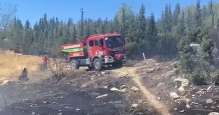 Aliağa da ormanlık alanda çıkan yangın hızlı müdahale ile söndürüldü