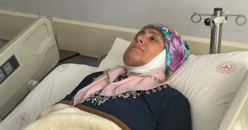 Yıllarca böyle yaşadı: 15 yıl sonra yeniden gülümseyecek!