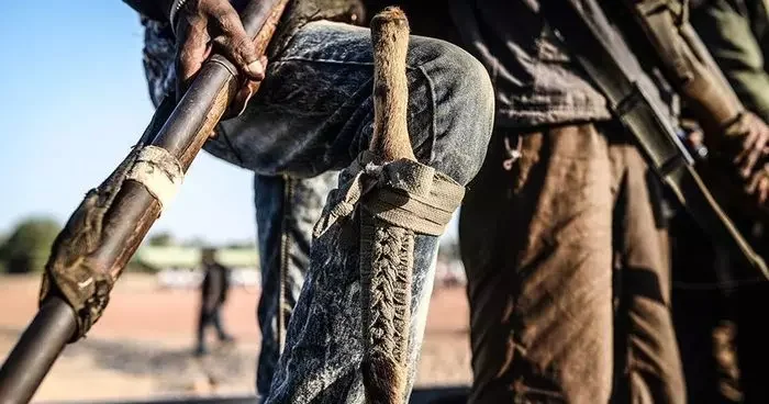 Nijerya da ordunun operasyonunda 2 Boko Haram üyesi etkisiz hale getirildi