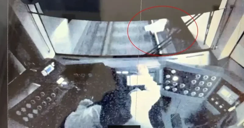 Metroda Şakalara Düşen Yaşlı Adam Hayatta Kaldı