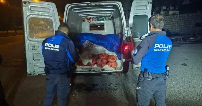 Samsun da kaçak avlanan 5 ton midye ele geçirildi